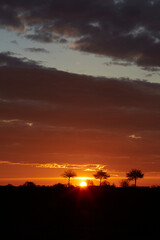 Sonnenaufgang im Sommer bei Erwitte-Horn, Langestrasse, Sommer 2023 