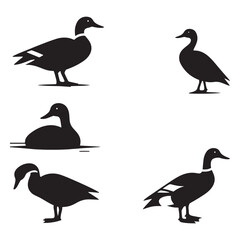 Quack Shadows: Vector Duck Silhouette Collection for Nature Designs, Waterfowl Illustrations, and Wetland-themed Artwork.