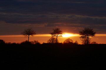 Sonnenaufgang im Sommer bei Erwitte-Horn, Langestrasse, Sommer 2023 