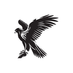 Swoop and Soar: Vector Falcon Silhouette Collection for Majestic Bird of Prey Designs, Wildlife Illustrations, and Nature Artwork.