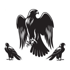Swoop and Soar: Vector Falcon Silhouette Collection for Majestic Bird of Prey Designs, Wildlife Illustrations, and Nature Artwork.