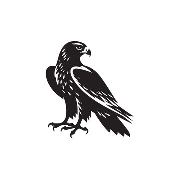 recommend clip art: Swoop and Soar: Vector Falcon Silhouette Collection for Majestic Bird of Prey Designs, Wildlife Illustrations, and Nature Artwork.
