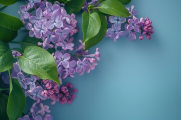 Lilac blooms against teal, encapsulating spring's awakening. Copy space