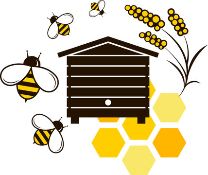Beehive with bee, honeycomb and flowers. Design for beekeeping