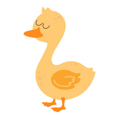 cartoon duck isolated on white