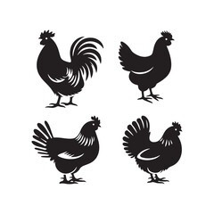Poultry Perfection: Vector Hen Silhouette Collection for Farmyard Designs, Animal Illustrations, and Rustic-themed Artwork. Black hen vector.