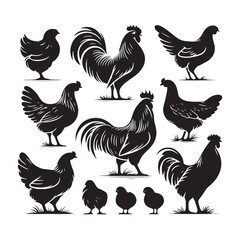 Poultry Perfection: Vector Hen Silhouette Collection for Farmyard Designs, Animal Illustrations, and Rustic-themed Artwork. Black hen vector.