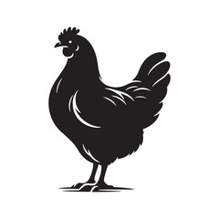 Poultry Perfection: Vector Hen Silhouette Collection for Farmyard Designs, Animal Illustrations, and Rustic-themed Artwork. Black hen vector.