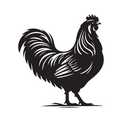 Poultry Perfection: Vector Hen Silhouette Collection for Farmyard Designs, Animal Illustrations, and Rustic-themed Artwork. Black hen vector.