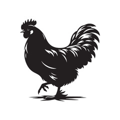 Poultry Perfection: Vector Hen Silhouette Collection for Farmyard Designs, Animal Illustrations, and Rustic-themed Artwork. Black hen vector.