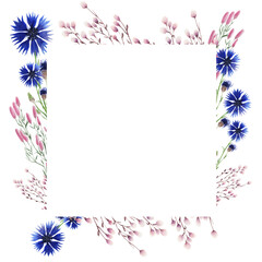 Watercolor frame with wildflowers, cornflowers, hare grass and hemlock