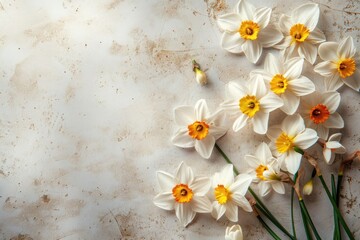 White daffodils with bright yellow centers lie scattered on a rustic, stained surface, capturing spring's essence. Copy space
