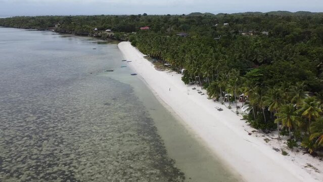 An aerial view of the beaches of the Siquijor island in the Philippines.