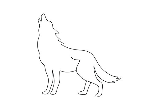Wolf continuous one line drawing vector illustration. Pro vector