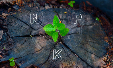 NPK to the three essential macronutrients required by plants:nitrogen (N), phosphorus (P),and...