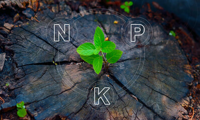 NPK to the three essential macronutrients required by plants:nitrogen (N), phosphorus (P),and potassium (K).These nutrients play crucial roles in the growth,development,and overall health of plants.