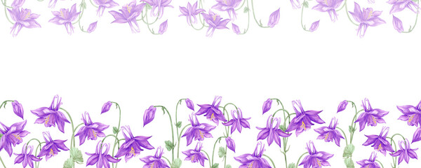 Hand drawn watercolor purple aquilegia flowers banner border isolated on white background. Can be used for web banner, label, invitation and other printed products.