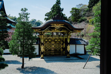 鎌倉の神社の風景