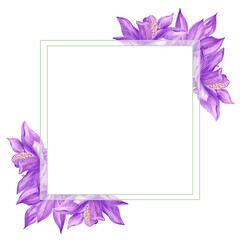 Hand drawn watercolor purple aquilegia flowers frame border isolated on white background. Can be used for cards, label, invitation and other printed products.