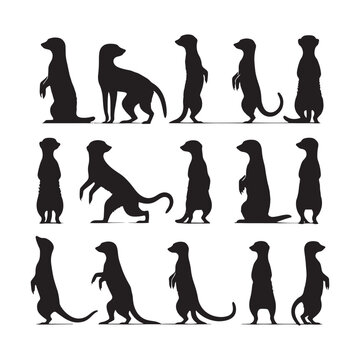 Desert Guardians: Vector Meerkat Silhouette Collection for Wildlife Designs, Safari Illustrations, and Savannah-themed Artwork.