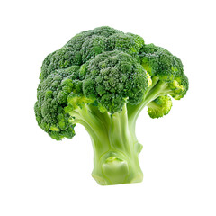 Green broccoli isolated on transparent background 