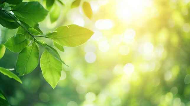 Nature of green leaf in garden at summer. Natural green leaves plants using as spring background cover page environment ecology or greenery wallpaper, generative ai