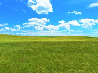 Obraz premium grassland
