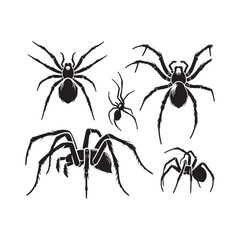 Creepy Crawlers: Vector Spider Silhouette Collection for Halloween Designs, Arachnid Illustrations, and Nature-themed Artwork. Black spider vector.