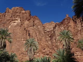 Rolgordijnen Wadi Al Disah © dagmar