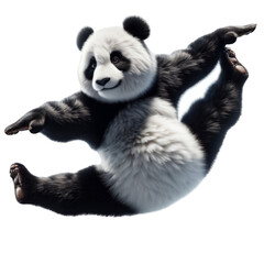 Dancing panda character design doing a jumping split. Transparent background. Isolated character. Cartoon concept. Fun animal concept. Cool dance concept. Fitness concept. Clipart illustration.