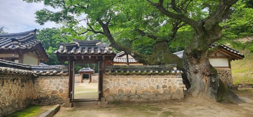 Fototapeta premium 여주 세종대왕릉
