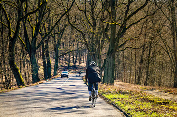 Cyclist on a forest road along the Havel river in Berlin.