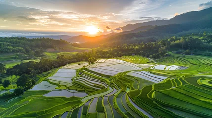Foto auf Acrylglas mountain landscape of Pa-Pong-Peang terrace paddy rice field at sunset © Ziyan