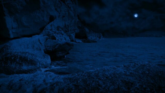 Rocky Sea Coast In The Moonlight