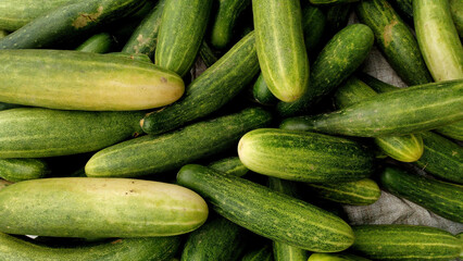 cucumber
