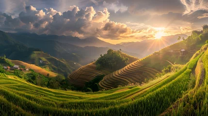 Papier Peint photo Rizières mountain landscape of Pa-Pong-Peang terrace paddy rice field at sunset