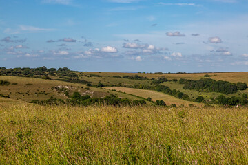 A rural South Downs landscape near Devil's Dyke in West Sussex - 754346240