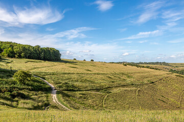 A rural Sussex landscape at Devil's Dyke, on a sunny day in June - 754346267