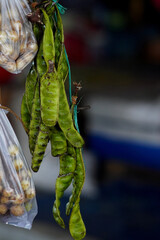 petai ( Parkia speciosa )