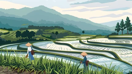 Cercles muraux Rizières Thailand. Rice terraces agricultural sceneries. Rice fields with asian farmers. Vector illustration. People planting and grow rice in rainy season.