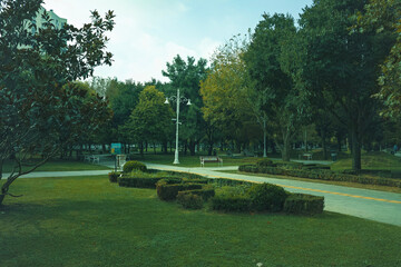 Fototapeta premium park in the city