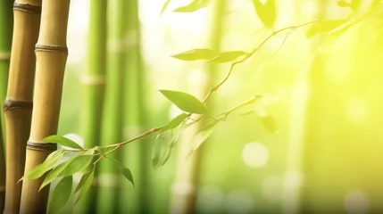 Tuinposter Natural background with bamboo. Illustration AI Generative © Atallahmohamed