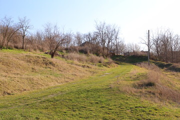 A grassy field with trees and a fence