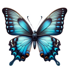 Macro of blue Swallowtail butterfly with spread wings isolated on transparent background, top view, Isolated object. PNG file. Concept of spring, summer, insect, garden, freedom, beauty.