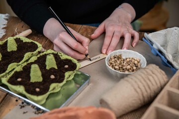 Aussaat nachhaltig, Gemüse und Blumen in Eierkarton anpflanzen, nachhaltig gärtnern mit Upcycling