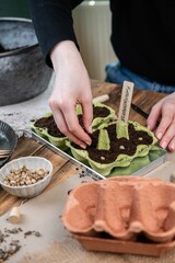 Aussaat nachhaltig, Gemüse und Blumen in Eierkarton anpflanzen, nachhaltig gärtnern mit Upcycling
