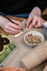 Aussaat nachhaltig, Gemüse und Blumen in Eierkarton anpflanzen, nachhaltig gärtnern mit Upcycling