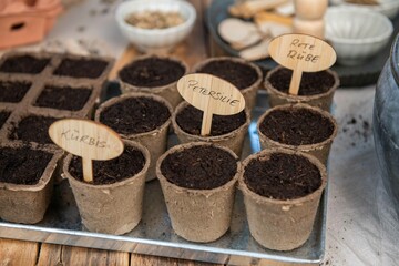 Aussaat im Frühling, Anbau selber machen, natürlich Gemüse anpflanzen