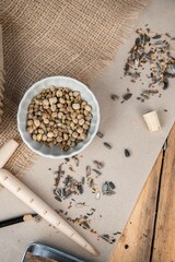 Aussaat im Frühling, Anbau selber machen, natürlich Gemüse anpflanzen