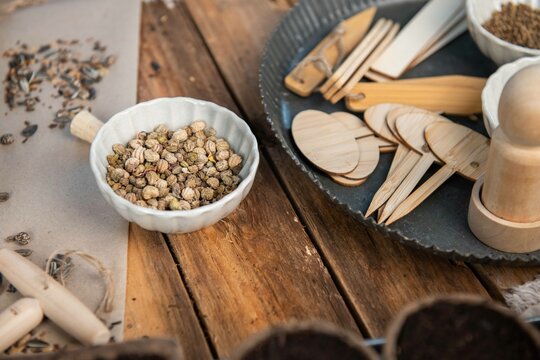 Aussaat im Fr&uuml;hling, Anbau selber machen, nat&uuml;rlich Gem&uuml;se anpflanzen